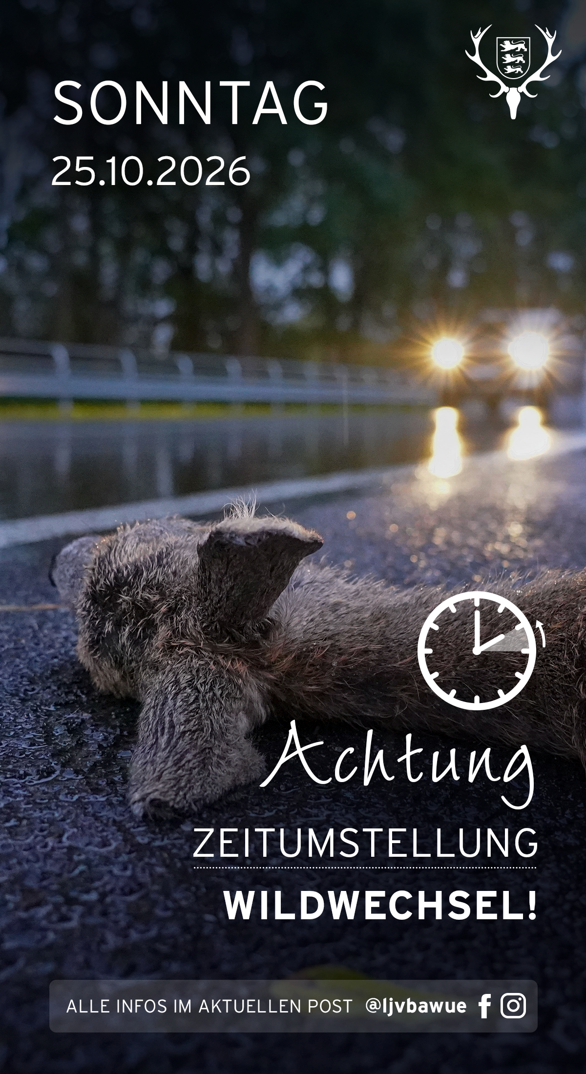 pdf-preview
