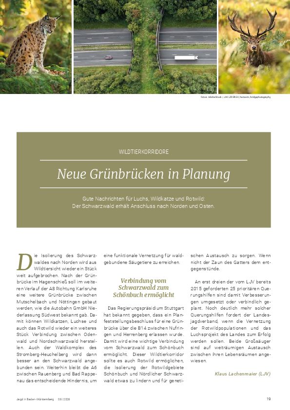 pdf-preview