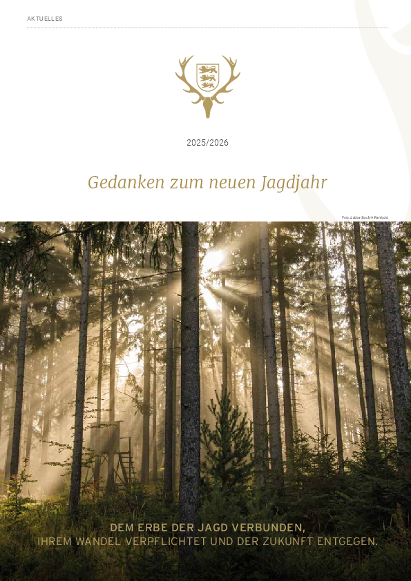 pdf-preview