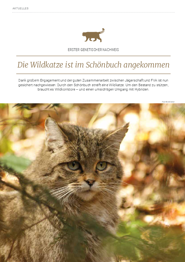 pdf-preview