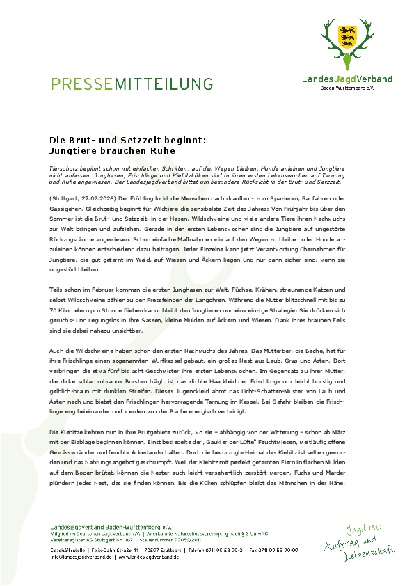 pdf-preview
