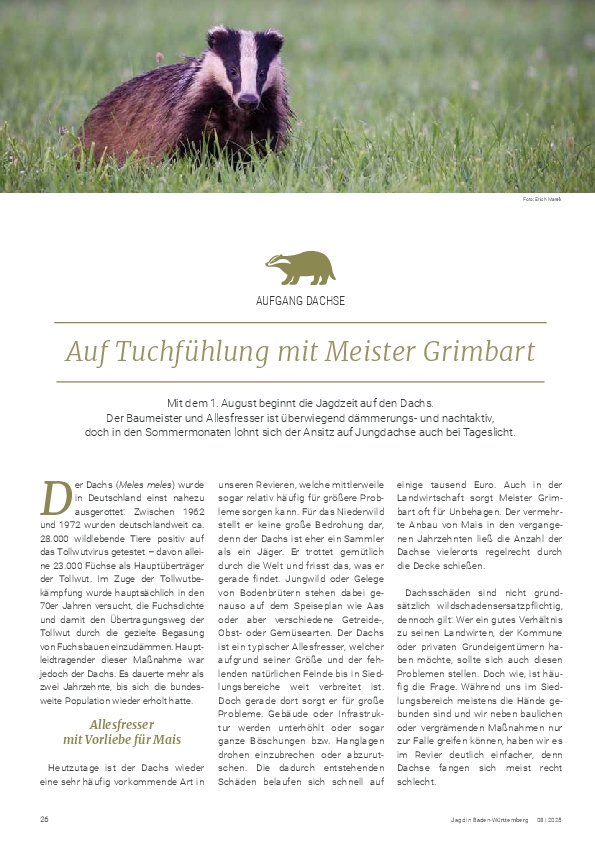 pdf-preview