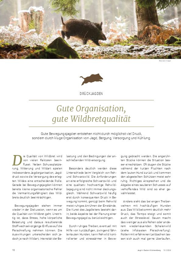 pdf-preview